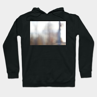 ChAqualate Hoodie